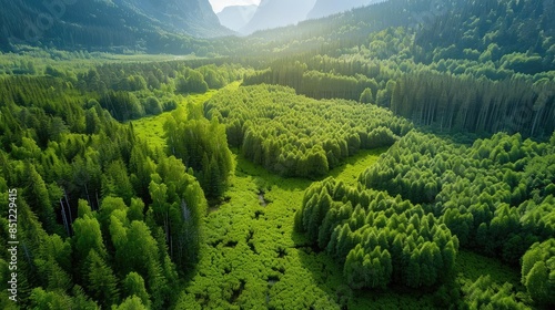 A breathtaking aerial view of a lush green valley surrounded by dense forests and towering mountains under a clear blue sky.