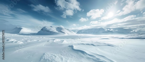 Frozen tundra landscape, vast white expanse of snow and ice under a pale blue sky, stark and serene