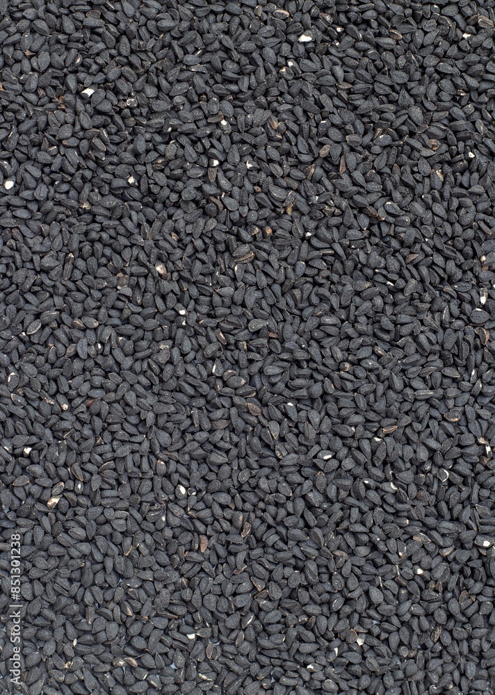 Top View of Black Cumin Seed or Jeera Background with Copy Space in Vertical Orientation Top View of Black Cumin Seed or Jeera Background with Copy Space in Vertical Orientation