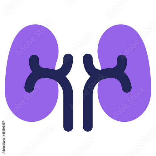 kidney icon