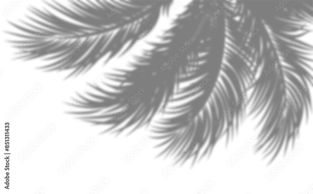 Obraz premium Palm tree branches shadow overlay. Tropical shadow overlay effect with transparent background
