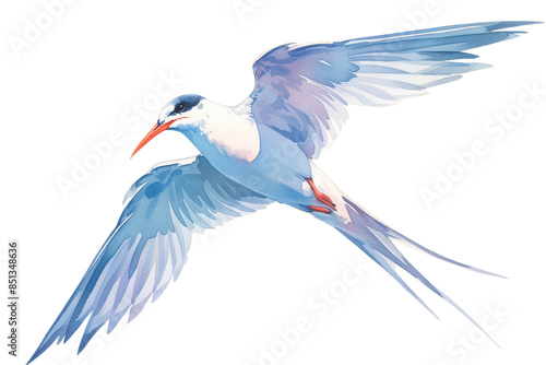 Canvas-taulu Illustration of a graceful blue and white bird in flight with spread wings and a vibrant orange beak, isolated on a white background