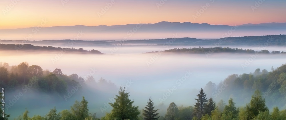 Fototapeta premium A serene sunrise over a misty valley with lush green trees, creating a tranquil and ethereal landscape ideal for nature-themed concepts or events.