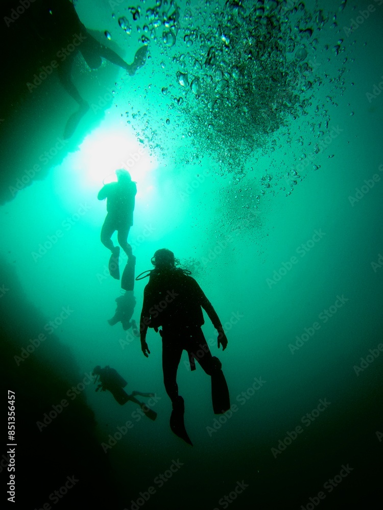 scuba diver in the underwater scuba diver in the underwater