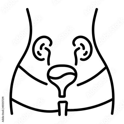Latest line style icon of urine system 