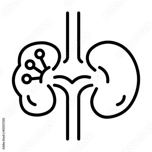 Latest outline icon of kidney disease 