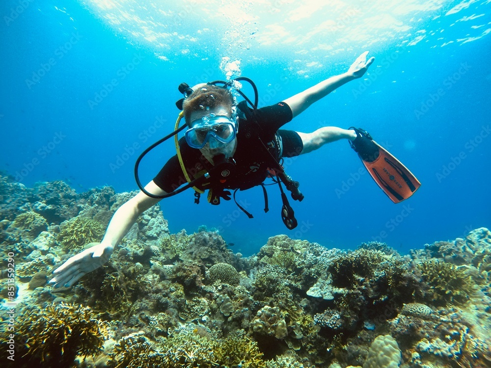 scuba diver in the island scuba diver in the island