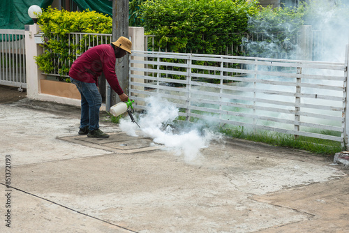 Village legal entity employees are spraying mosquito repellent.