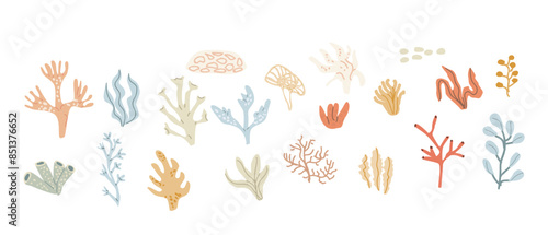 Cute childrens sea plants set. Marine underwater elements collection. Ocean inhabitants set of coral. Wild aquatic creatures in childish naive hand drawn style.