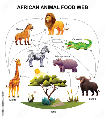 African animal food web ecosystem. Vector cartoon illustration