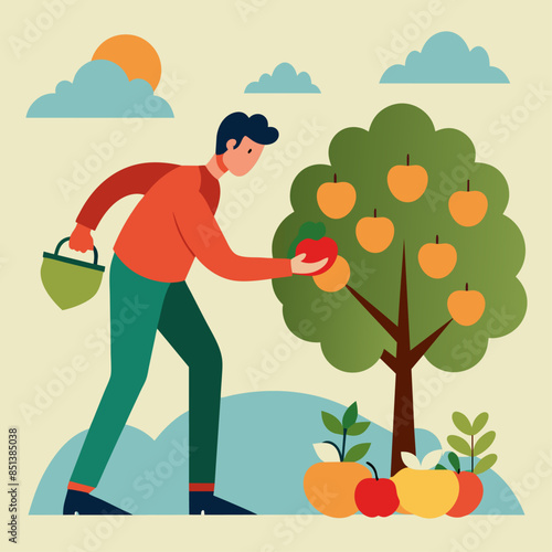 Man picking apples from a tree in an orchard