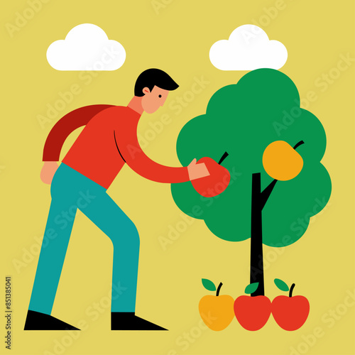 Man harvesting apples from a tree