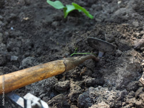 Wallpaper Mural Digging the ground for the garden Torontodigital.ca