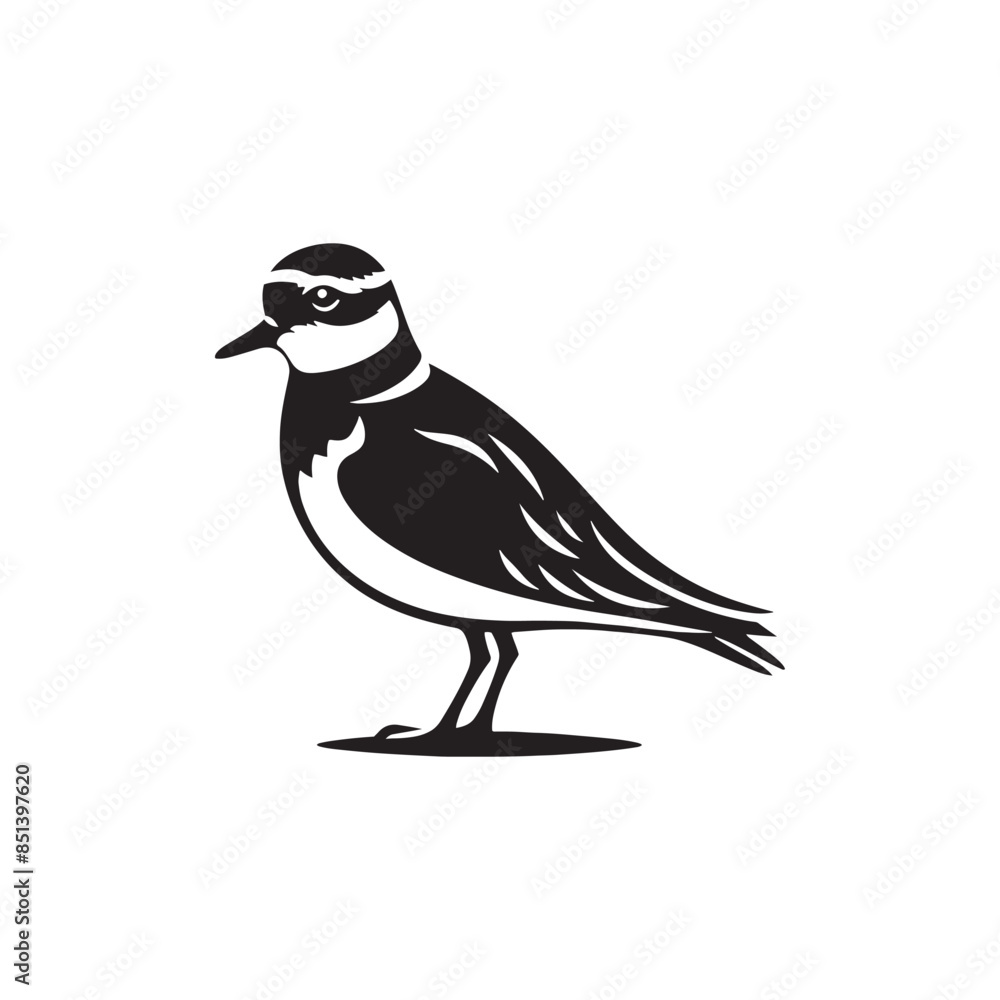 Obraz premium Plover Vector Silhouette - Plover Illustration - Plover bird Vector.