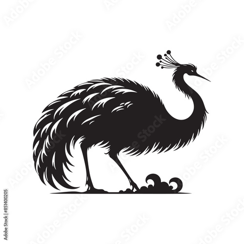 Rhea Vector Silhouette - Rhea Illustration - Bird Vector