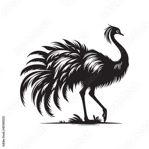Rhea Vector Silhouette - Rhea Illustration - Bird Vector
