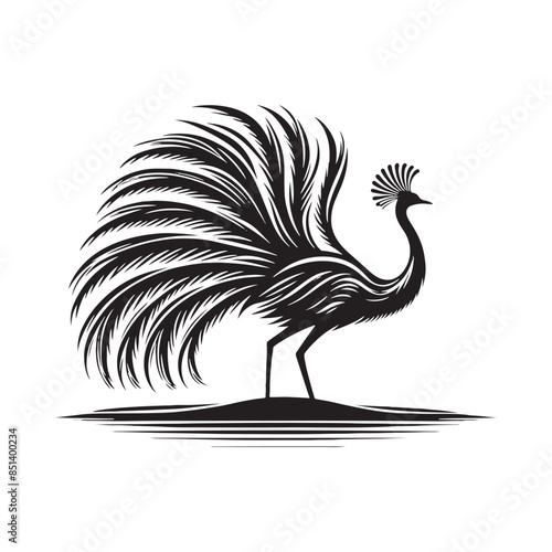 Rhea Vector Silhouette - Rhea Illustration - Bird Vector