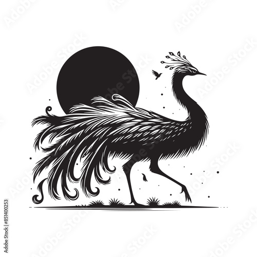 Rhea Vector Silhouette - Rhea Illustration - Bird Vector