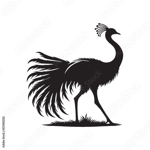 Rhea Vector Silhouette - Rhea Illustration - Bird Vector