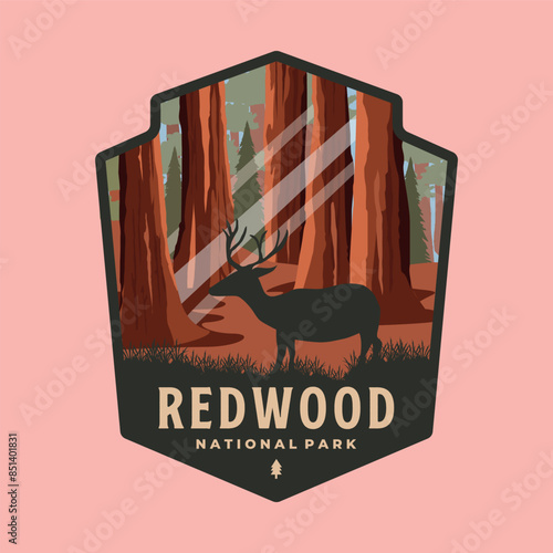 redwood national park patch logo vector symbol illustration design, california forest landmark emblem template