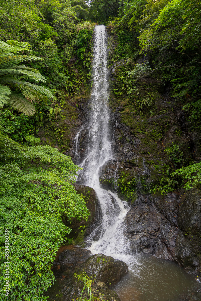 Obraz premium 奄美大島 加計呂麻島 嘉入の滝