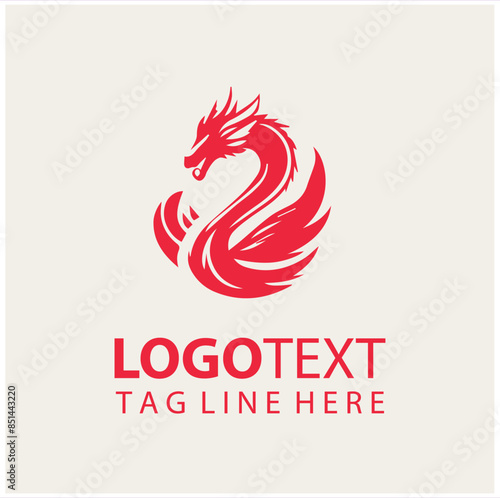 Dragon Logo Vector Illustrations 