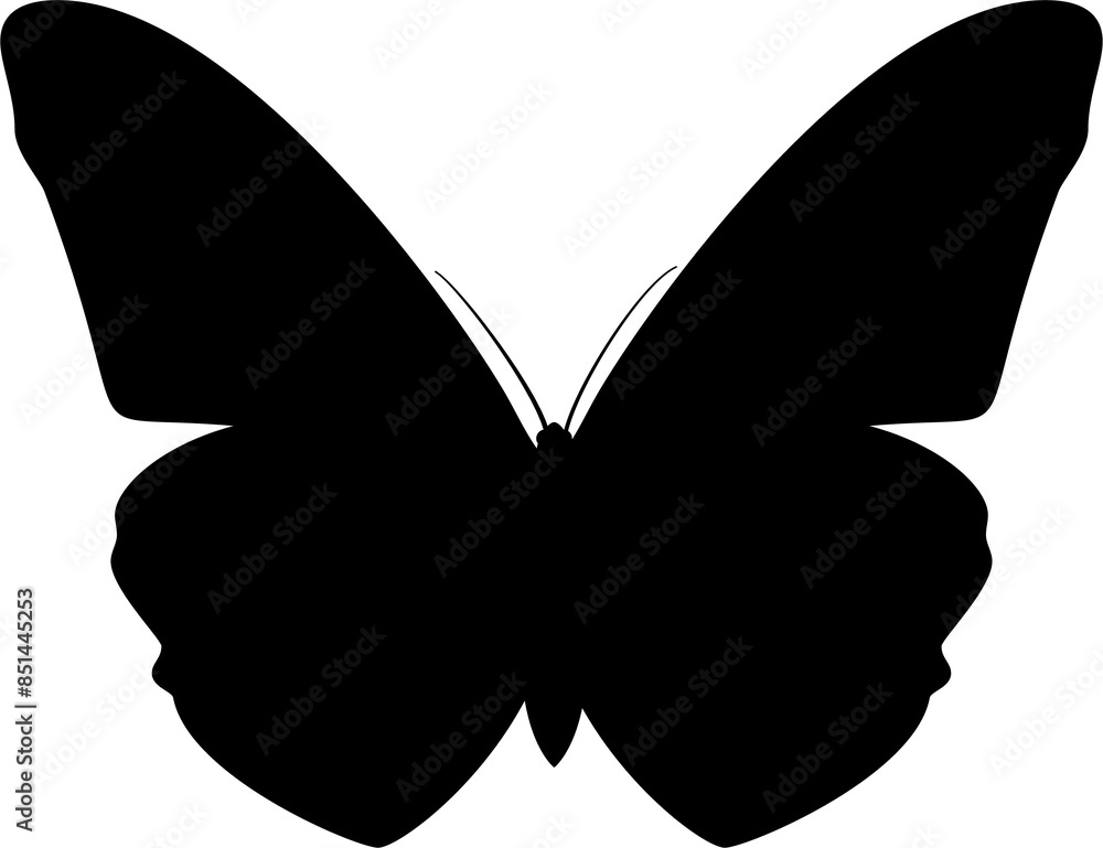a black and white image of a butterfly. can be used for clothes design a black and white image of a butterfly. can be used for clothes design