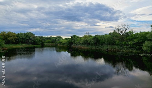 Fototapeta Naklejka Na Ścianę i Meble -  River backwater beside green trees over it