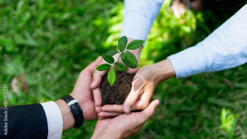 Green business eco company partners holding plants together for Ecology collaboration development ecosystem organization in greenery company partnership ,Environmental cooperation concept.CSR and ESG