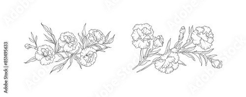 Carnation flower arrangement line art on white background. Silhouette botanical hand drawn element for wedding, invitation frame design, vector illustration