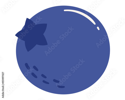 Fruit blueberry bilberry in cartoon hand drawn simple style. Editable variable color