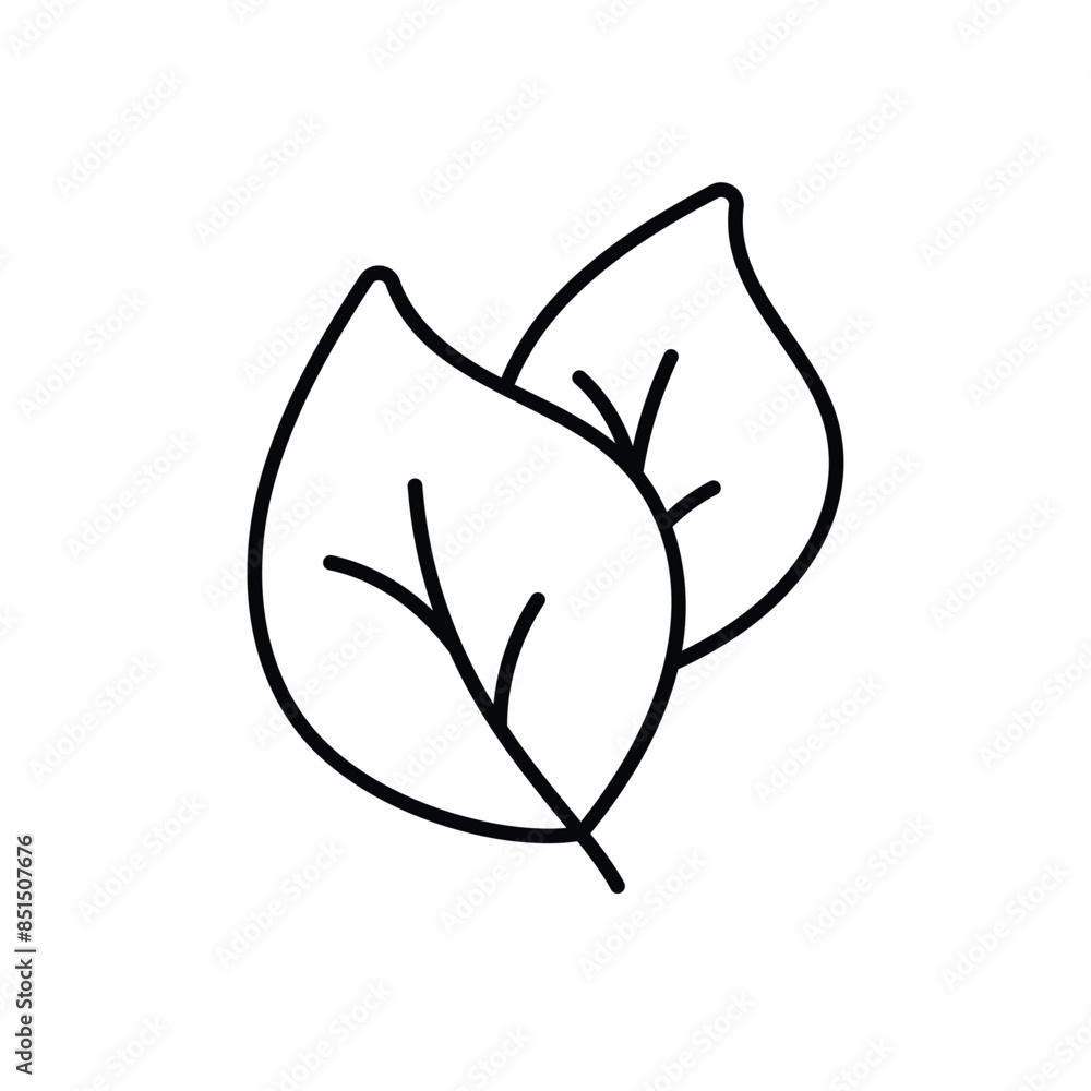 Leaf vector icon