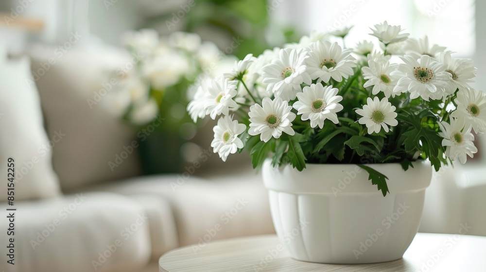 Simple yet elegant white flowers in a white pot, ideal for a minimalist and tranquil design. Simple yet elegant white flowers in a white pot, ideal for a minimalist and tranquil design.