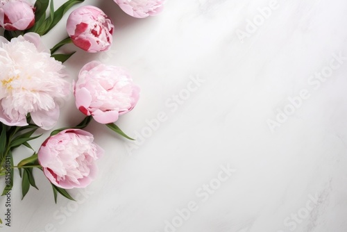 Peonies flower petal plant.