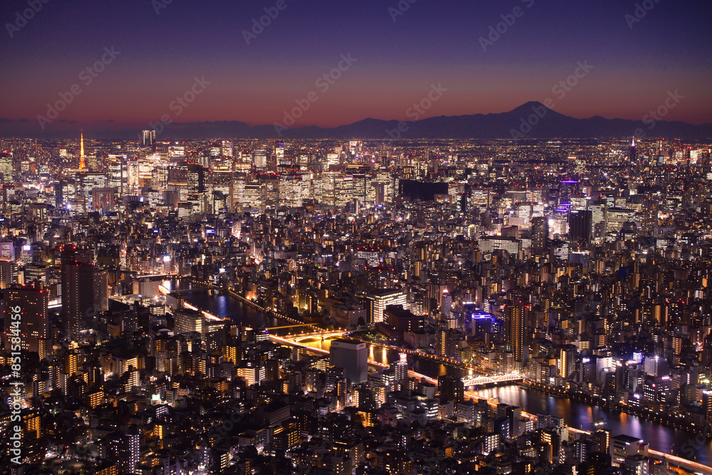 Obraz premium 東京都 東京スカイツリーから見た夜景