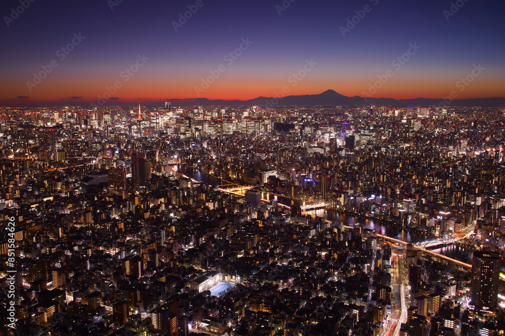 Naklejka premium 東京都 東京スカイツリーから見た夜景