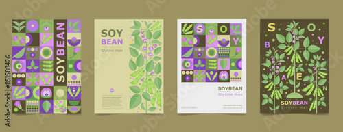 Set poster, brochure with drawing of soybeans. Isolated flower, beans and leaves. Card geometry for print design vector banner