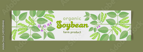 Vector drawing of soybean. Label, packaging isolated flower and leaves, beans.