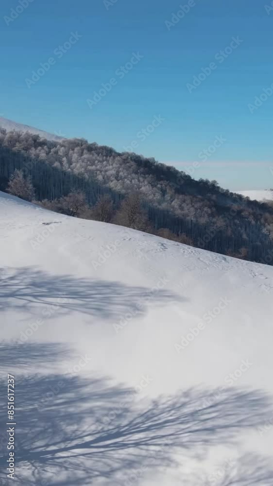 Aerial view of beautiful snow forrest during winter Aerial view of beautiful snow forrest during winter