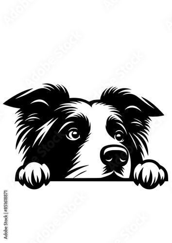 Border Collie SVG, Dog Breed SVG, Dog SVG, Pet SVG, Dog Lover SVG, Peeking Animal SVG, Border Collie Silhouette, Vector, Clipart, Cut file for Cricut SVG, JPG, PNG