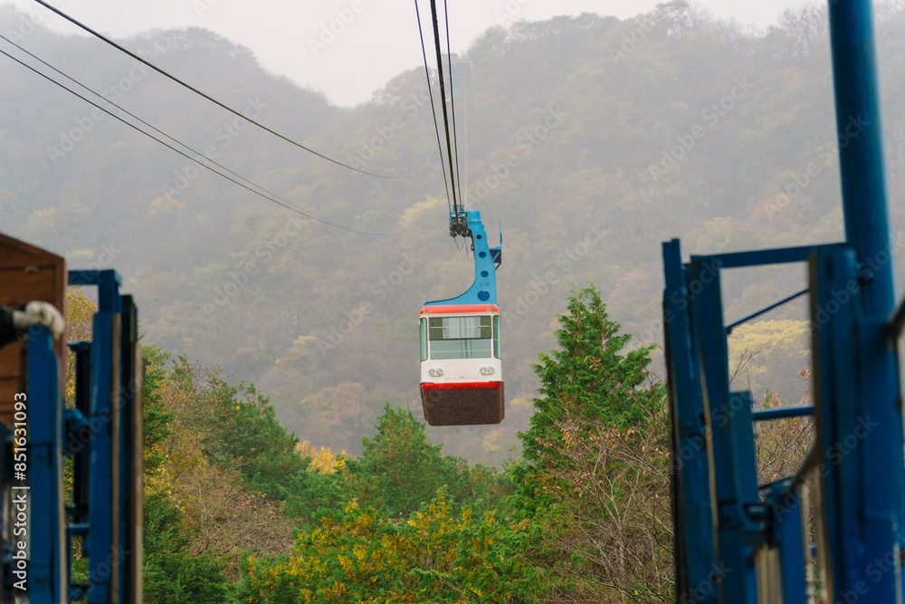 Fototapeta premium a cable car ascending above an autumn-colored forest in Naejangsan, Korea, showcasing the natural beauty and a serene transportation method.