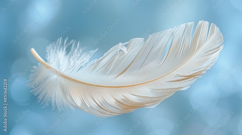Naklejka premium A soft, curved white feather is presented against a blue bokeh background, showcasing a sense of delicacy and calm