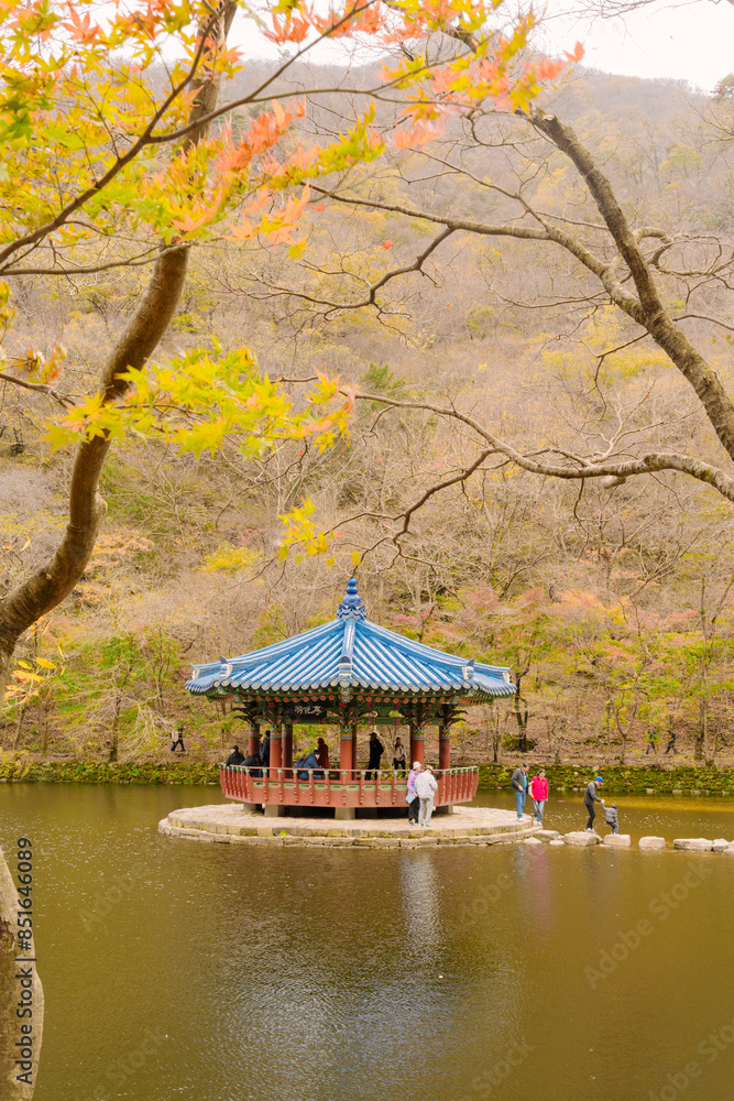 Fototapeta premium a traditional Korean pavilion with a blue tiled roof, situated on a lake surrounded by autumn foliage in Naejangsan National Park.