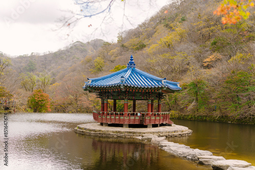 a traditional Korean pavilion with a blue tiled roof, situated on a lake surrounded by autumn foliage in Naejangsan National Park.