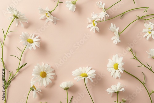 Elegant Daisies Against Beige Background with blank space © HengXGen