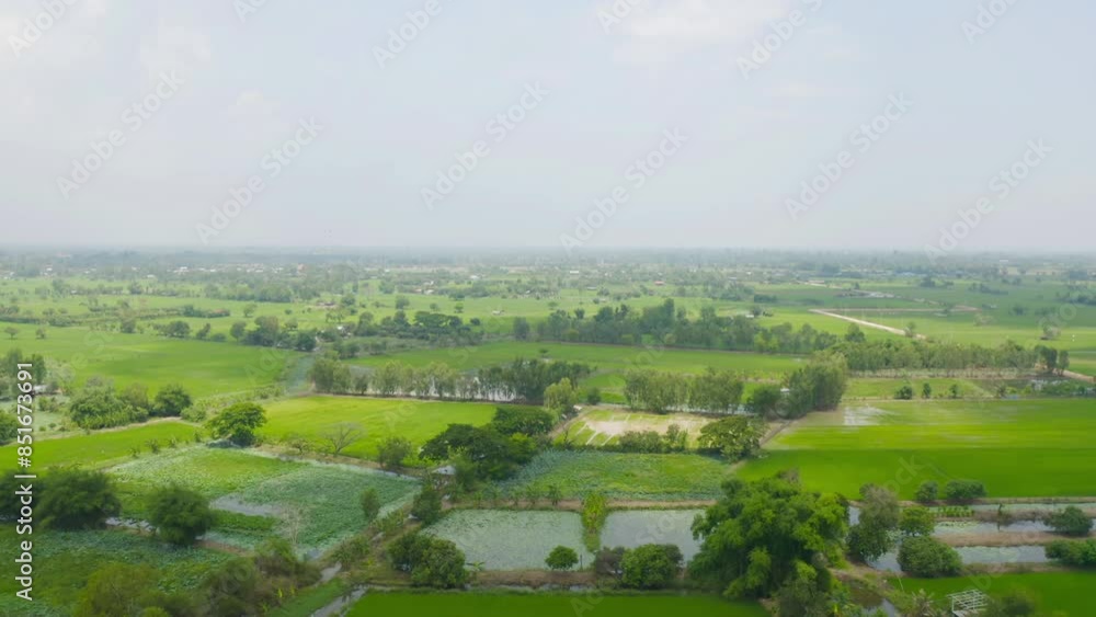 Aerial top view of fresh paddy rice, green agricultural fields in countryside or rural area in Asia, Thiland. Nature landscape Aerial top view of fresh paddy rice, green agricultural fields in countryside or rural area in Asia, Thiland. Nature landscape
