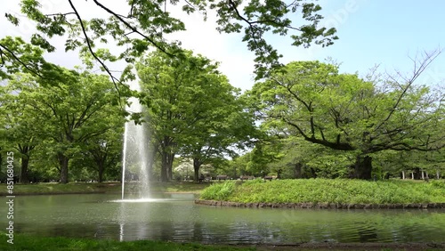 Shibuya city Yoyogi Park lake fountain in Tokyo, Japan