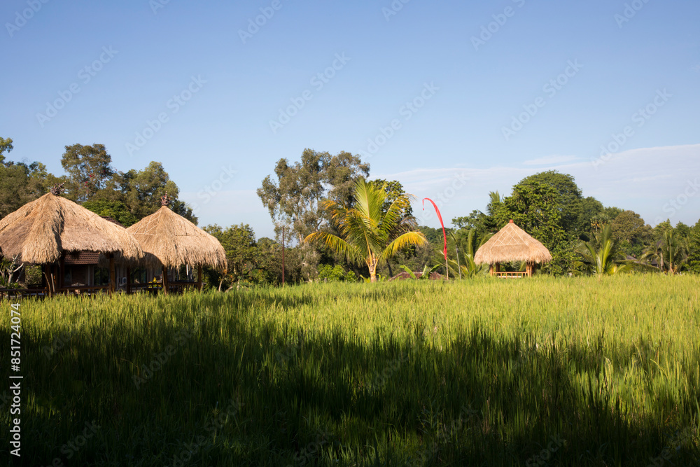 Beautiful view of a typical Bali village, Indonesia