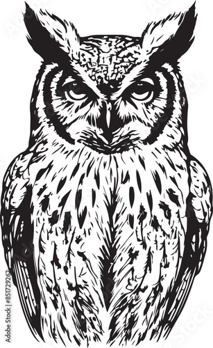 owl silhouette vacatur art illustration 