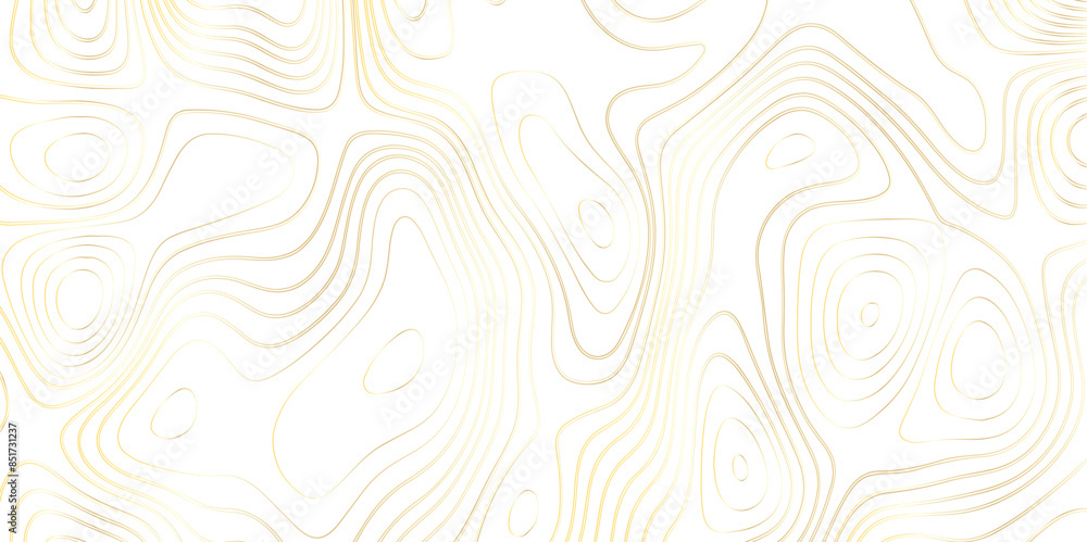 Abstract wavy topographic map. Abstract wavy and curved lines background. Abstract geometric topographic contour map background. Abstract wavy topographic map. Abstract wavy and curved lines background. Abstract geometric topographic contour map background.